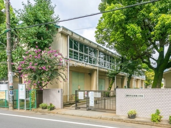 調布市立若葉小学校