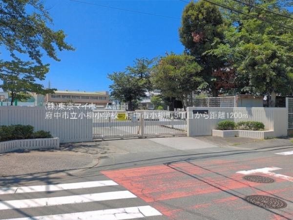 府中市立小柳小学校