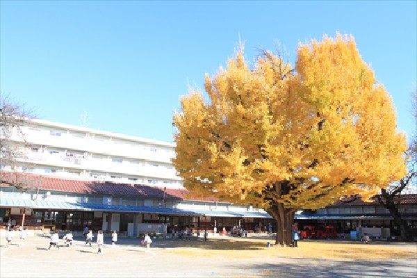 南台幼稚園(赤い汽車や木の遊び場と滑り台、そしてチェインのジャングルジムなどがある広々とした園庭を持つ幼稚園です。)