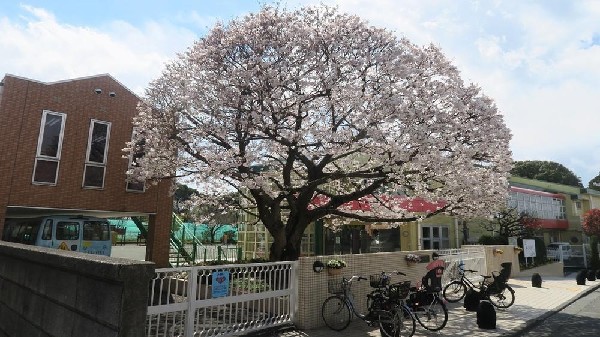 認定こども園いづみ幼稚園(認定こども園いづみ幼稚園まで660m)