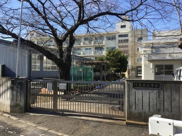 横浜市立篠原小学校(横浜市立篠原小学校まで786m)