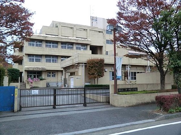 横浜市立茅ケ崎小学校(横浜市立茅ケ崎小学校まで300m)