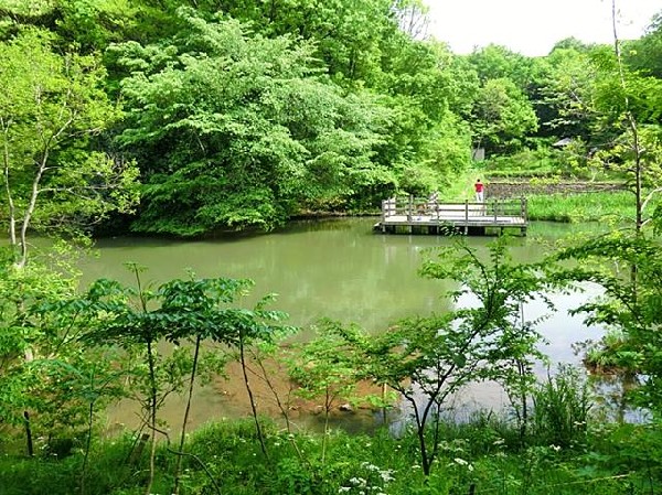 茅ヶ崎公園(茅ヶ崎公園まで200m)