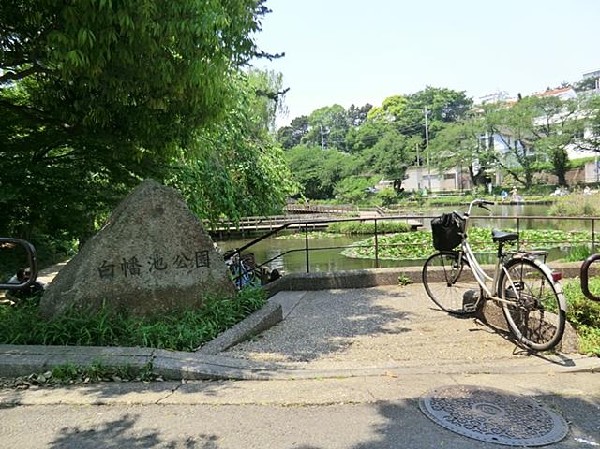 白幡池公園(白幡池公園まで260m)