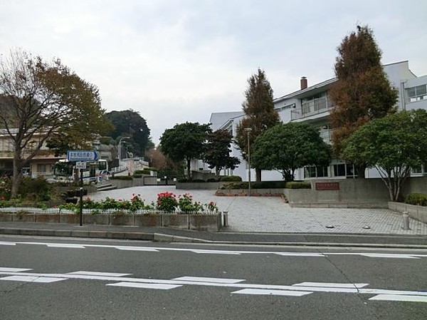 横浜市立本牧中学校(横浜市立本牧中学校まで1300m)