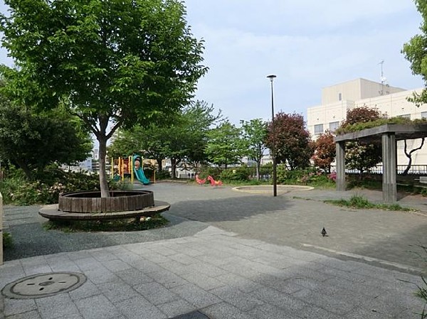 川上大豆田公園(川上大豆田公園まで800m)