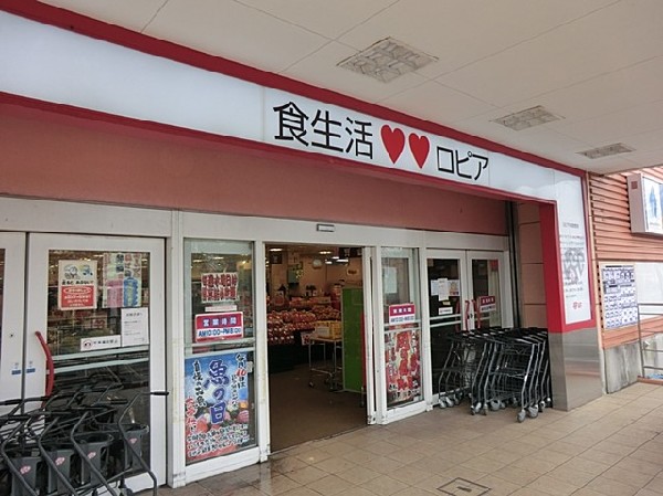 ロピアいずみ中央店