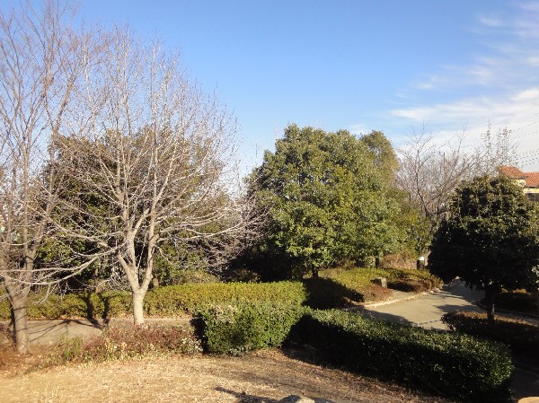 赤田西公園(住宅街らしく近隣には公園が複数ありますので、お子様にも嬉しい住環境です。きっと、お気に入りの公園がみつかるはずです。)