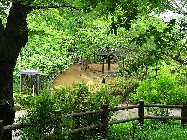 大倉山公園(梅林で有名な大きな公園、お休みの日にのんびりと過ごすことが出来ます。ドラマのロケ地にもなっています)