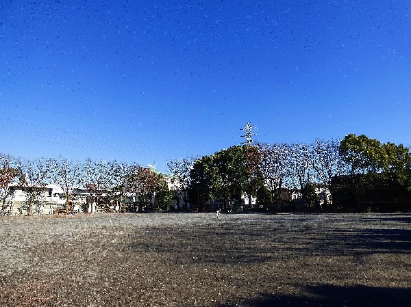 橘公園(季節の移ろいを感じられる公園。休日は四季を感じながら、ジョギングをしたり、お子様と一緒に遊べます。)