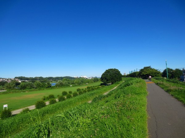 多摩川(お天気の良い日にはサイクリングやペットとのお散歩なども良いですね。自然を身近に感じ、暮らしを豊かにしてくれる環境です。)