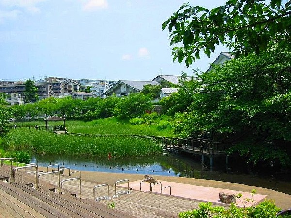 岸根公園(子どもたち、そして大人も思い切り走り回れる位の広々とした芝生。園内にはいくつかの広場がある。)