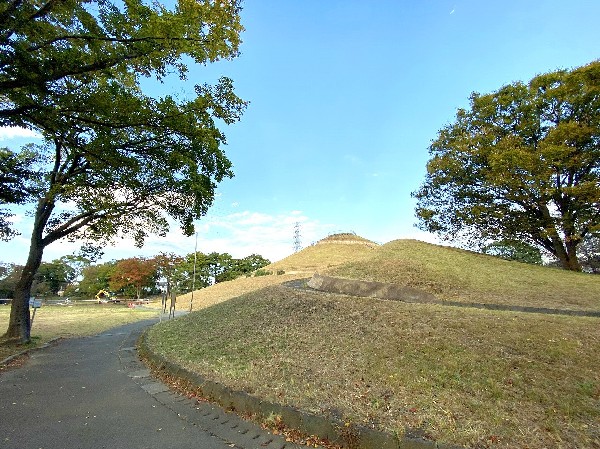 川和富士公園(公園の季節の移ろいを感じられる立地。休日は四季を感じながら、お子様と一緒に遊べる公園です。)