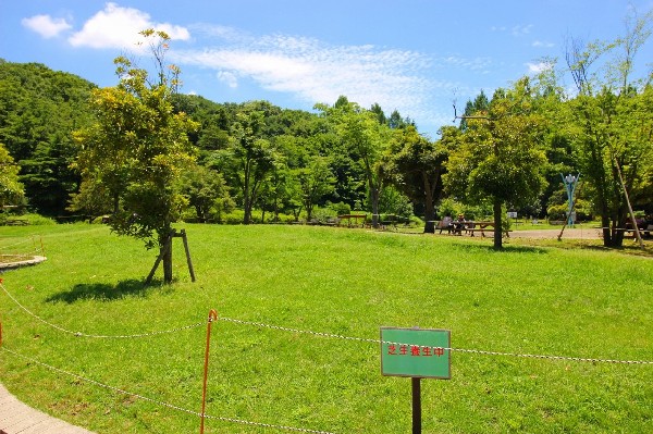 生田緑地(爽やかな風が通り、豊かな自然をそのままいかした広大な緑地。広場、プラネタリウム、バラ園など、幅広い世代が楽しめるのも魅力です。)