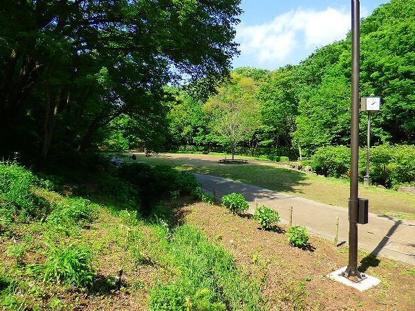 東高根森林公園(文化財である東高根遺跡や天然記念物であるシラカシ林を有する、多摩丘陵の美しい自然を今に伝える県立公園です。)