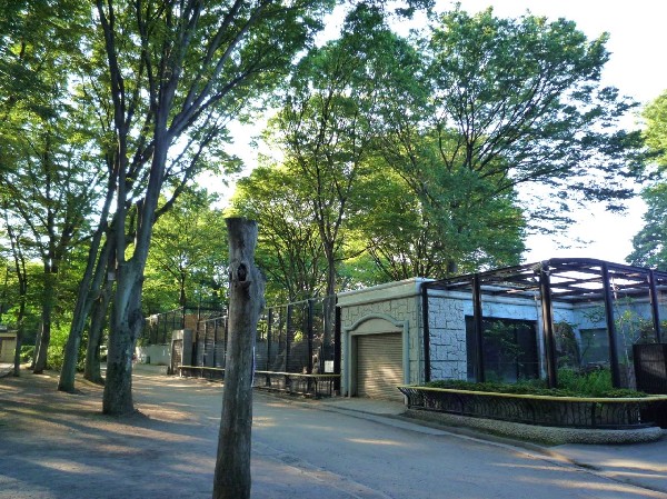 夢見ヶ崎動物公園(夢見ヶ崎公園のある加瀬山は、標高35mの自然林が残る小高い丘で、四季折々の植物などを楽しめる憩いの場です。)