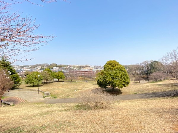 東山田公園(傾斜を利用した広ーい芝生の公園。子供たちは走り回りたくなること間違いなし。)