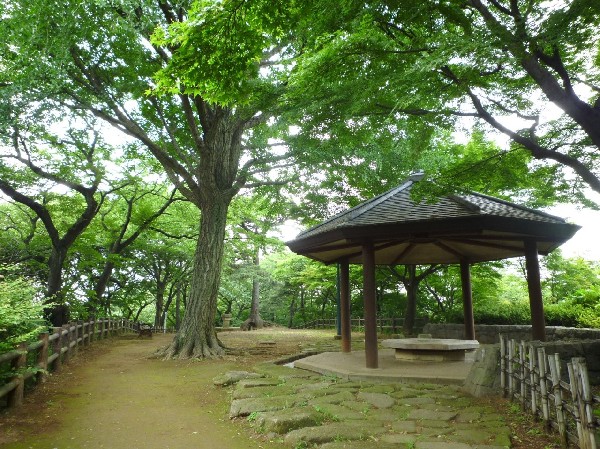 大倉山公園 (梅林で有名な大きな公園、お休みの日にのんびりと過ごすことが出来ます。ドラマのロケ地にもなっています)