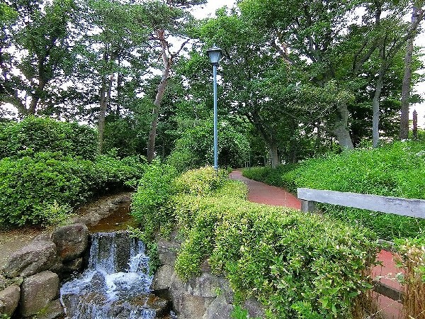 西河原自然公園(樹木が立ち並び、木漏れ日を愉しめる公園。都会の騒がしさから解放される、大人も癒される落ち着きある空間が広がります。)