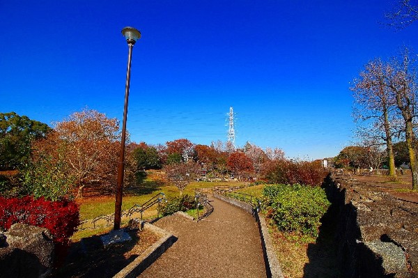 岸根公園(駅隣接の広くて有名な公園。じゃぶじゃぶ池やアスレチック、大きな芝生広場など、お弁当を持ってピクニックにくる方も大勢います。駐車場も完備。)