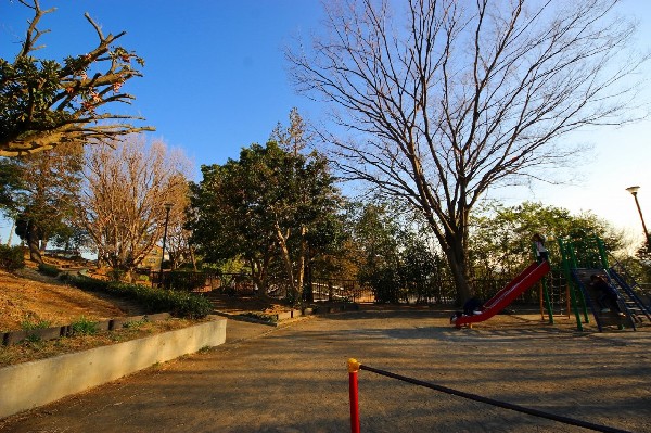 梅が丘第三公園(住宅街らしく近隣には公園が複数ありますので、お子様にも嬉しい住環境です。きっと、お気に入りの公園がみつかるはずです。)