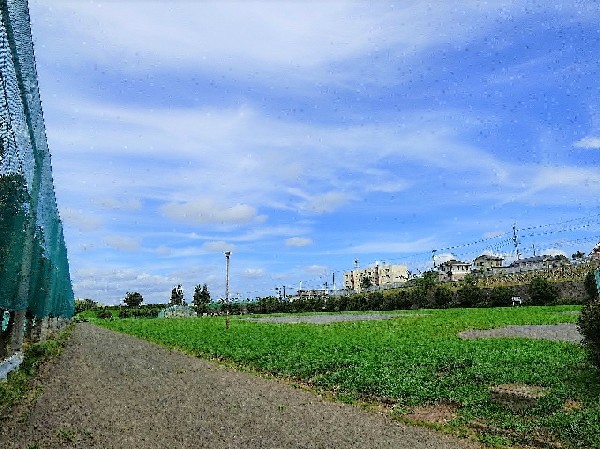 西長沢公園(敷地の大きい公園でメイン設備は広い芝生のグラウンドです。最近では無料駐車場が開設され利用しやすくなりました)