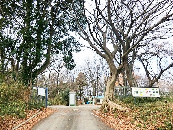 稲城ふれあいの森(樹木が立ち並び、木漏れ日を愉しめる公園。都会の騒がしさから解放される、大人も癒される落ち着きある空間が広がります。)