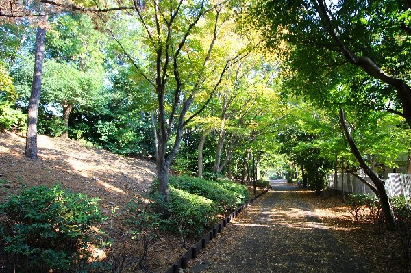 都田公園(テニス、野球、サッカーが楽しめる公園です。グラウンドや施設は常に整備され、皆様に常に快適な空間を提供しております。)