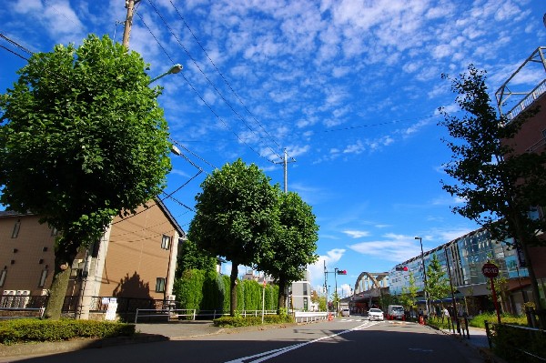 矢野口駅　北側並木(駅前周辺は、南武線の高架化に伴い再開発されています。少し足を延ばせば、多摩川も広がり自然も身近です。)