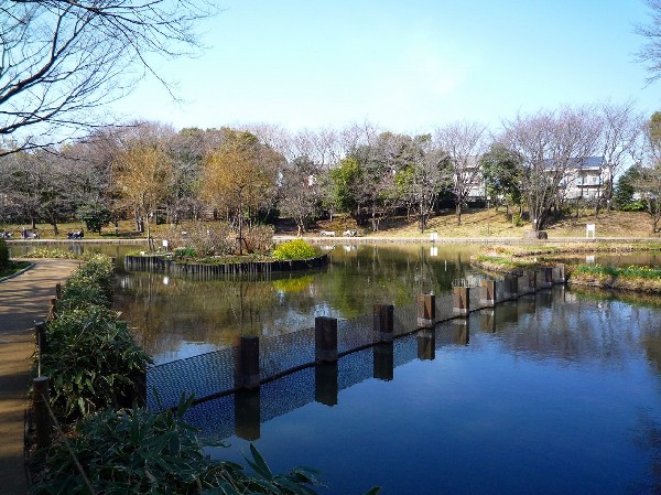 せせらぎ公園(樹木が立ち並び、木漏れ日を愉しめる公園。都会の騒がしさから解放される、大人も癒される落ち着きある空間が広がります。)