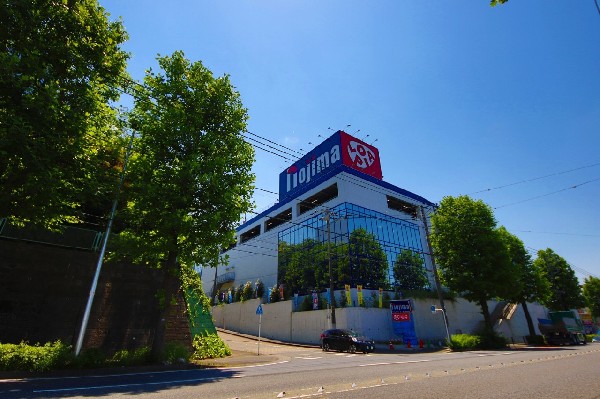 ノジマ川崎水沢店(異業種コラボ店舗「ロピア」「マツモトキヨシ」「ノジマ」がオープン。)