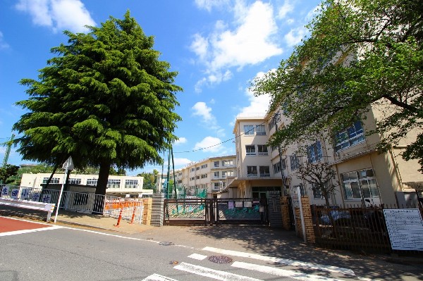 生田小学校　(お子様が一日の中でも長い時間を過ごす小学校。のびのびと過ごし、広い校庭で元気に駆け回ったり、どんどん成長していくお子様の姿が目に浮かびます。)