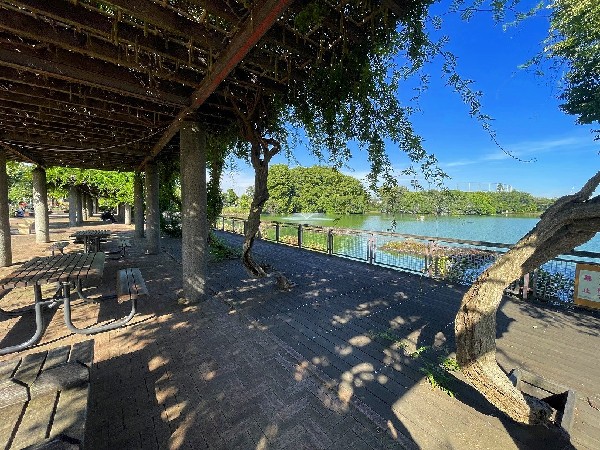 等々力緑地(Jリーグの試合も行われる競技場、野球場、博物館、美術館、図書館、釣り池、じゃぶじゃぶ池など多彩な施設が整備された市民憩いの場です)