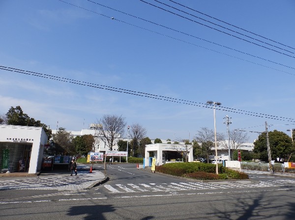 川崎市中央卸売市場北部市場　(私たちの食生活に欠かすことの出来ない野菜や果物、魚介類などの生鮮食料品等を、安全・安心、適正な価格で安定供給している、食の流通拠点です。)
