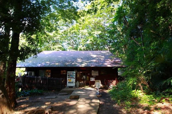 白幡公園(雨の日でも室内で遊べるログハウスがある。ネットや滑り台、迷路、おもちゃなどがあり小学生に人気の施設。)