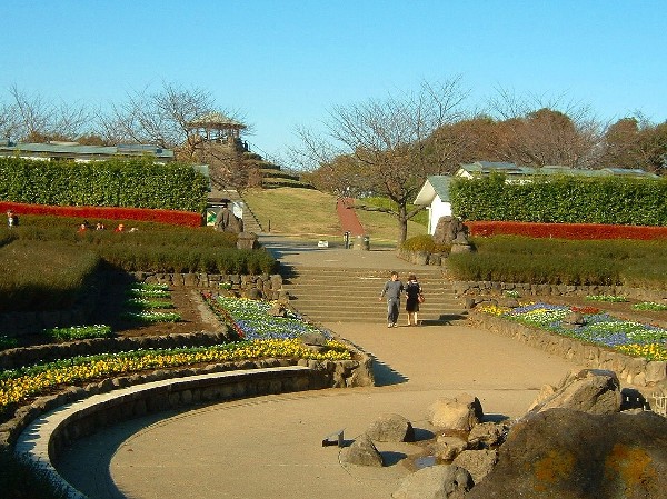 四季の森公園(季節によってさまざまな野花が咲き誇る。ジャンボ滑り台や水遊び可能な池がお子様にも人気の大規模公園。)