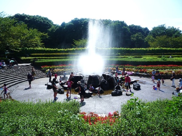 四季の森公園(季節によってさまざまな野花が咲き誇る。ジャンボ滑り台や水遊び可能な池がお子様にも人気の大規模公園。)