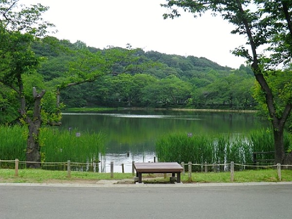 三ツ池公園(春には1600本の桜が開花する名所。テニスコート、プール、ロング滑り台等があり1日中楽しめます。)