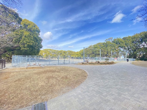 常盤公園(運動広場やテニスコートがある大きな公園。四季折々の梅や桜、椿など様々な草花が咲き、休日のお散歩にぴったりです。)