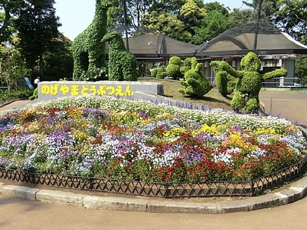 野毛山公園(敷地内には野毛山動物園があり、桜の名所としても有名。園内からは、みなとみらい地区も一望できます。)