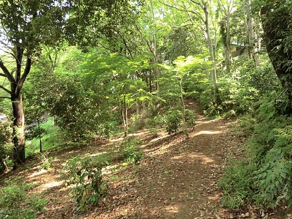白幡公園(雨の日でも室内で遊べるログハウスがある。ネットや滑り台、迷路、おもちゃなどがあり小学生に人気の施設。)