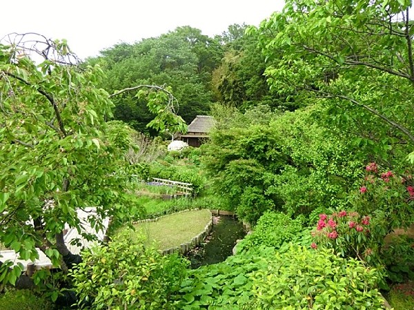馬場花木園(豊かな緑に囲まれた、和風の風致公園です。桜や紅葉など、四季折々の花々と風情を楽しむことができます。)